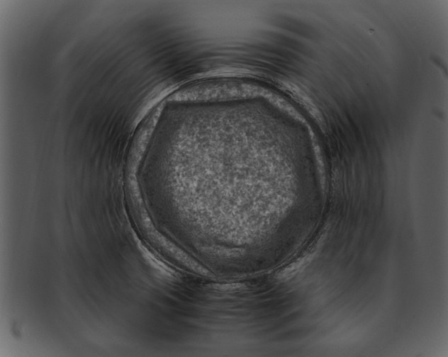 X0000093101425200710171150
