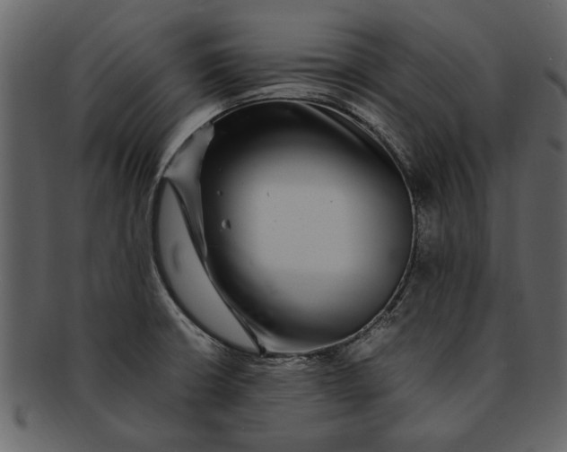 X0000093101426200710171150