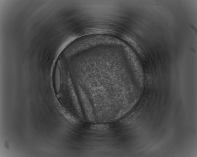 X0000093101427200710171150