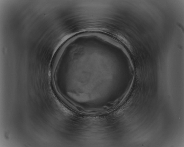 X0000093101428200710171150