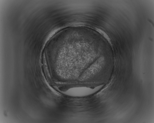 X0000093101429200710171150