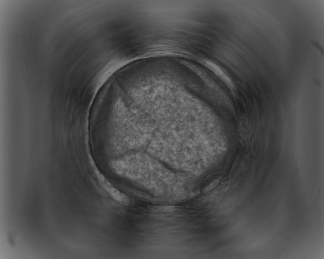 X0000093101431200710171150