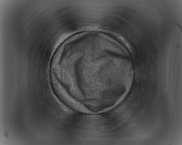 X0000093101432200710171150