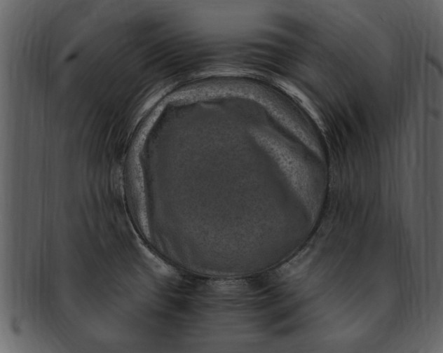 X0000093101433200710171150