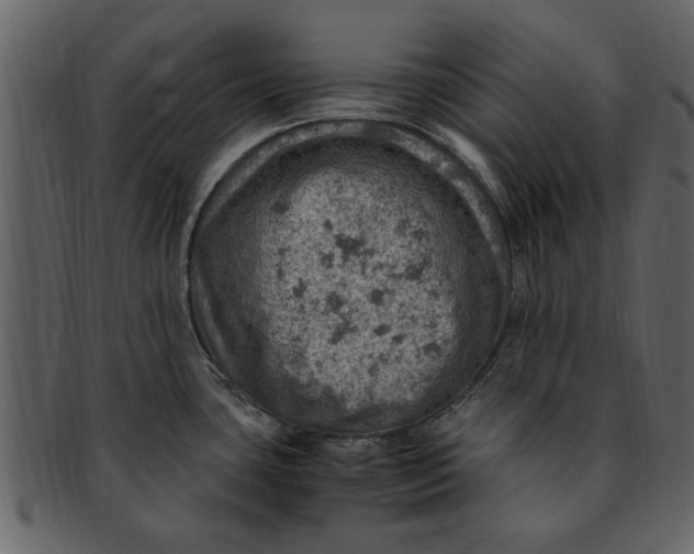 X0000093101435200710171150