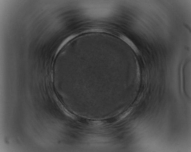 X0000093101436200710171151
