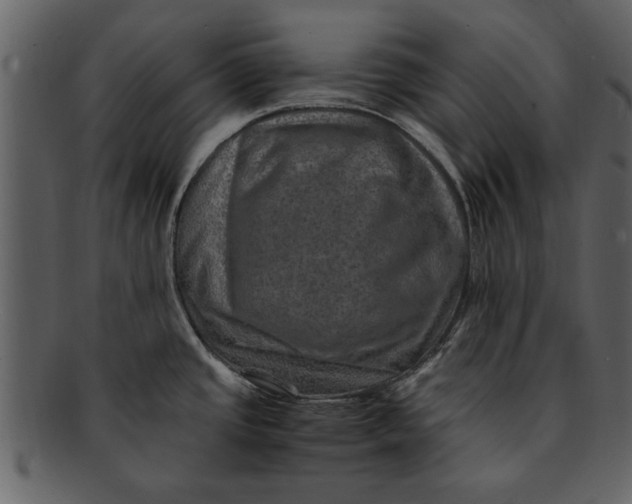 X0000093101437200710171151