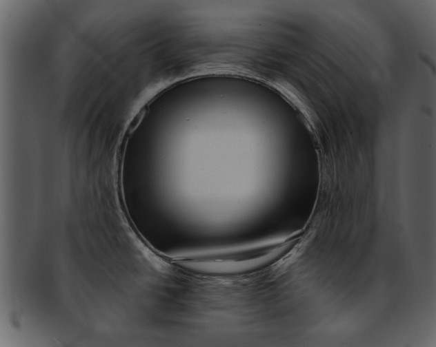X0000093101438200710171151