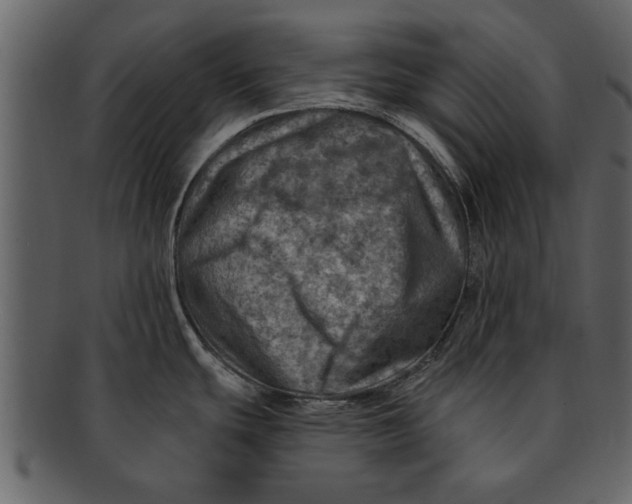 X0000093101439200710171151