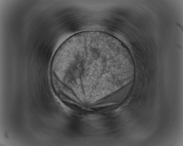 X0000093101440200710171151