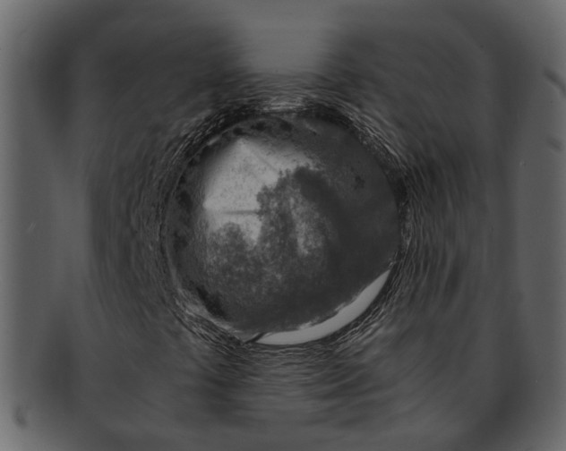 X0000093101441200710171150