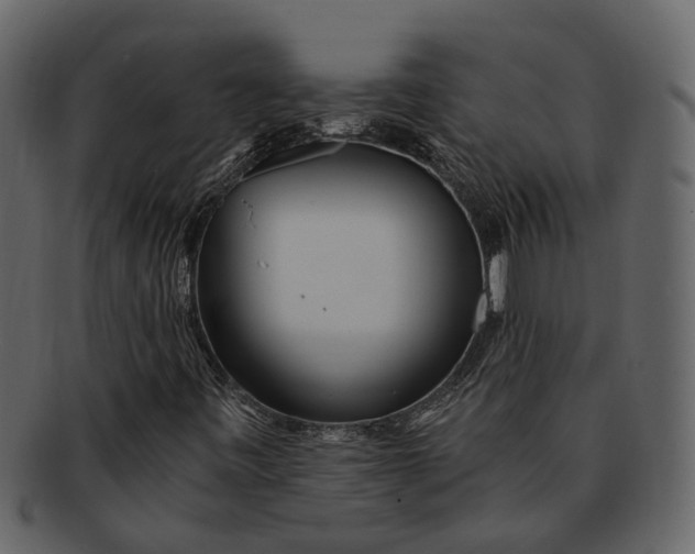 X0000093101443200710171150