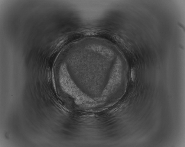 X0000093101444200710171150