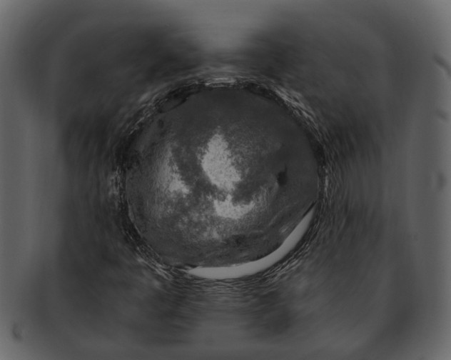 X0000093101445200710171150