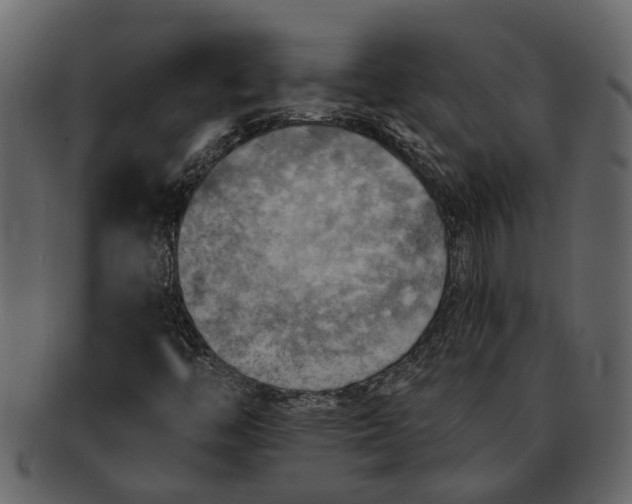 X0000093101446200710171150