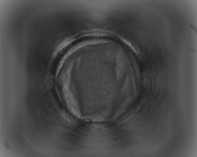 X0000093101448200710171150