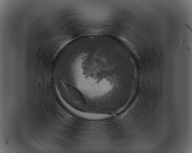 X0000093101449200710171150