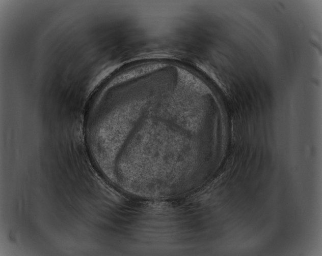 X0000093101452200710171150