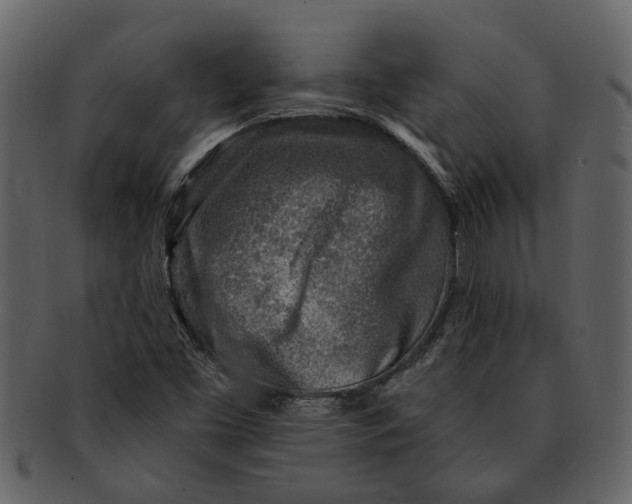 X0000093101453200710171150