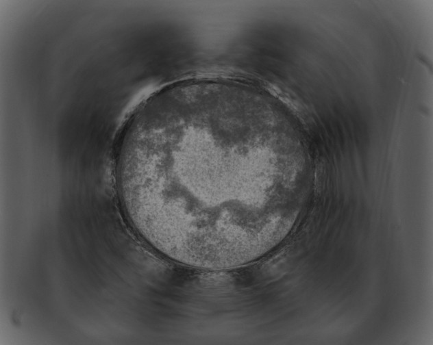 X0000093101454200710171150