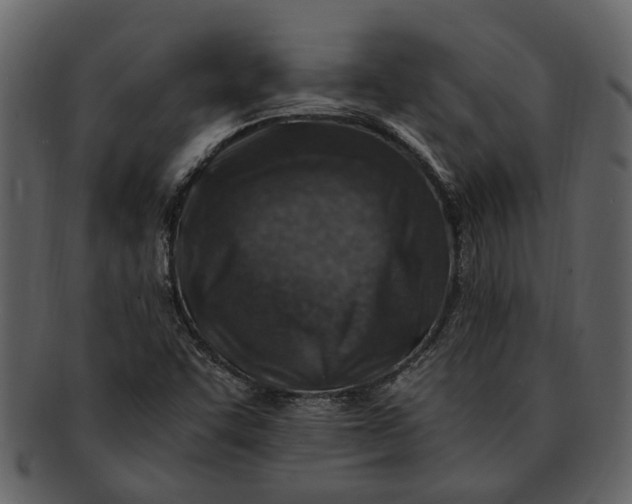 X0000093101455200710171150