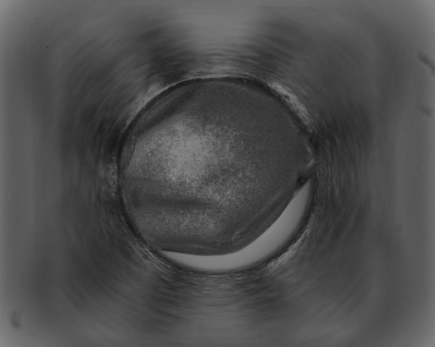 X0000093101457200710171150