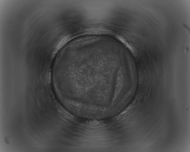 X0000093101459200710171150