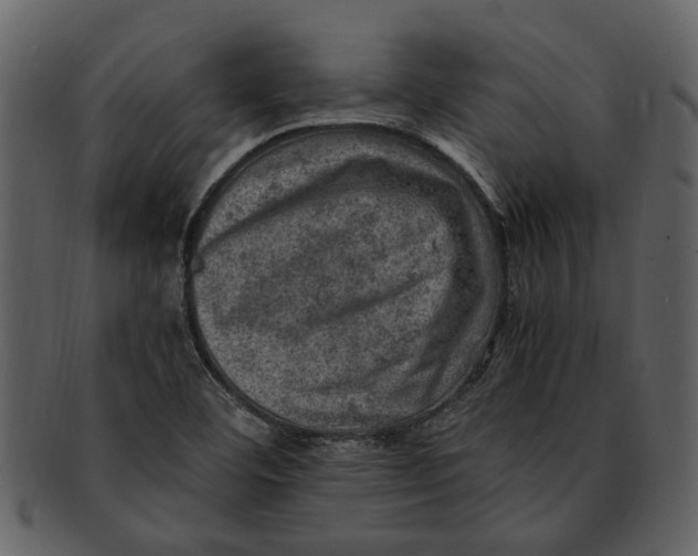 X0000093101460200710171150