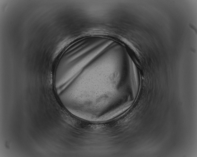 X0000093101461200710171150