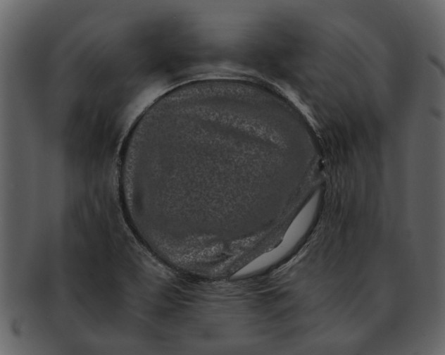 X0000093101463200710171150