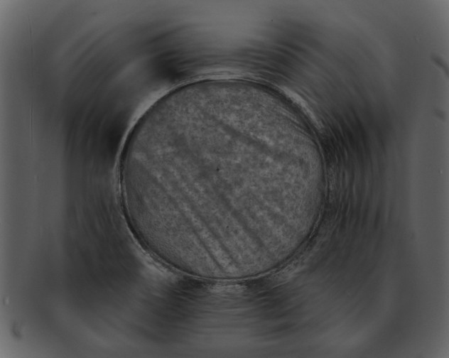 X0000093101466200710171150