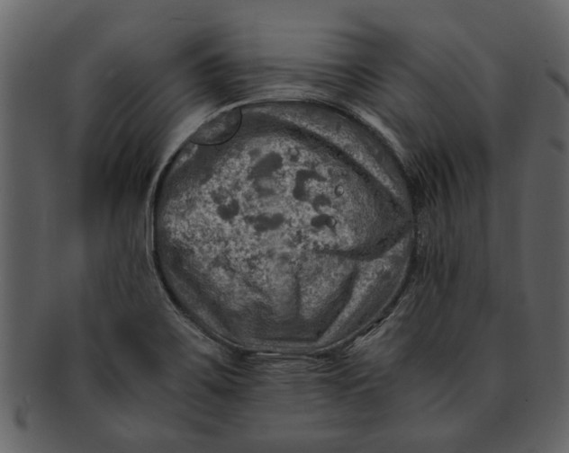 X0000093101467200710171150