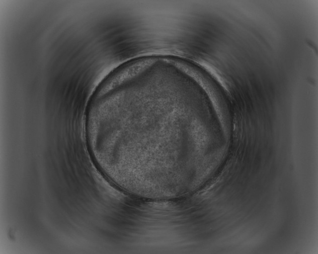 X0000093101468200710171150