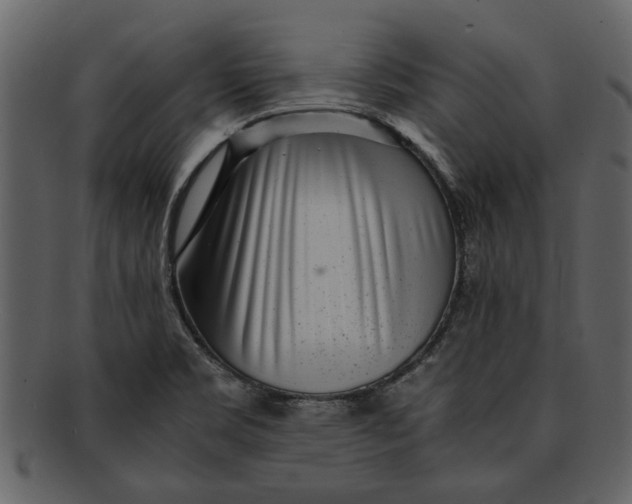 X0000093101469200710171150