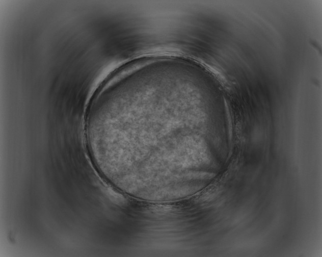 X0000093101470200710171150