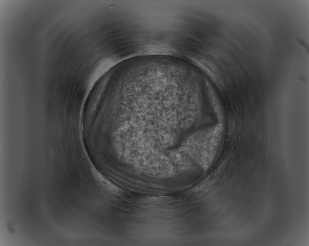 X0000093101471200710171149