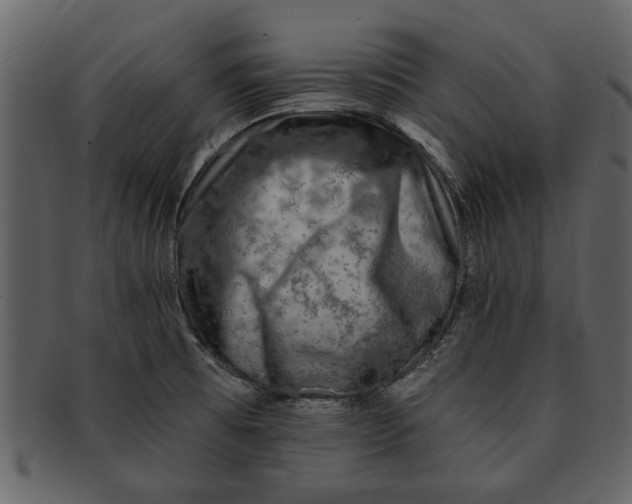 X0000093101473200710171149
