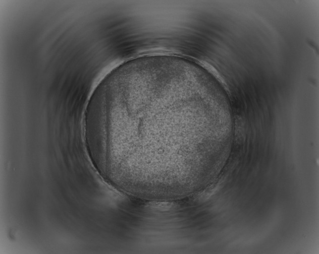 X0000093101474200710171149