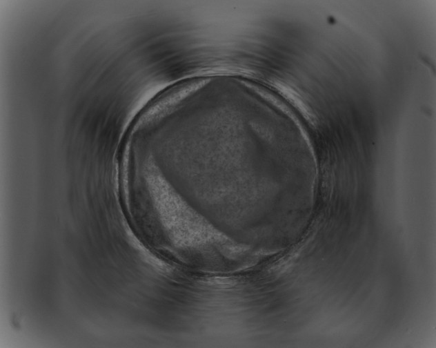 X0000093101476200710171149