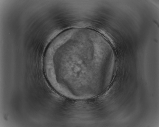 X0000093101477200710171149