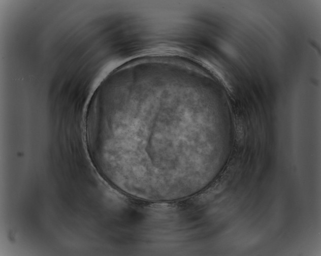 X0000093101478200710171149