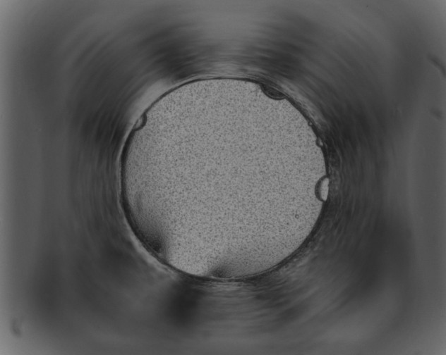 X0000093101479200710171149
