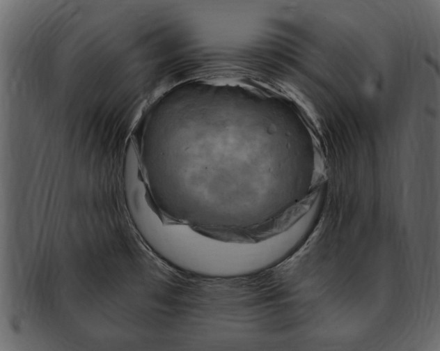 X0000093101481200710171149