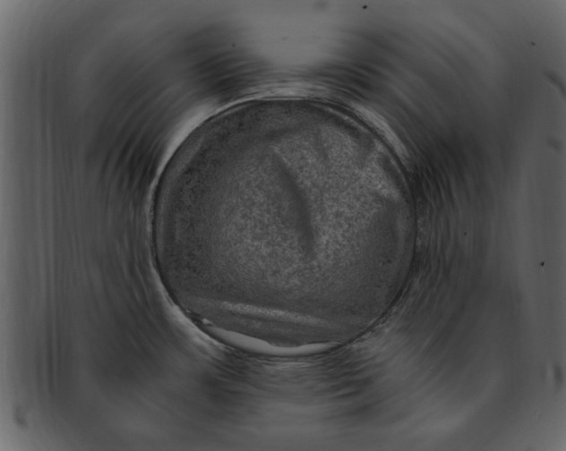 X0000093101483200710171149