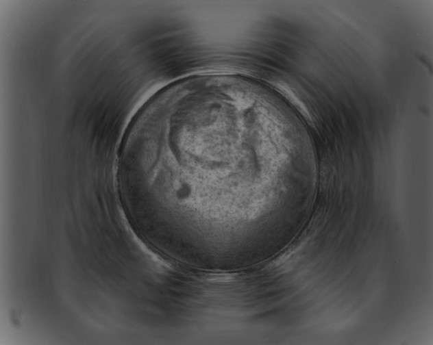 X0000093101484200710171149