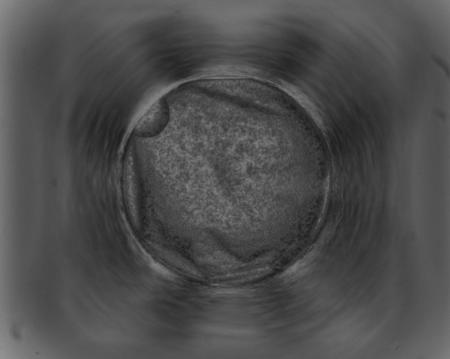X0000093101486200710171149