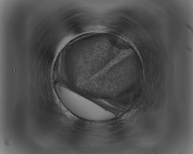 X0000093101488200710171149