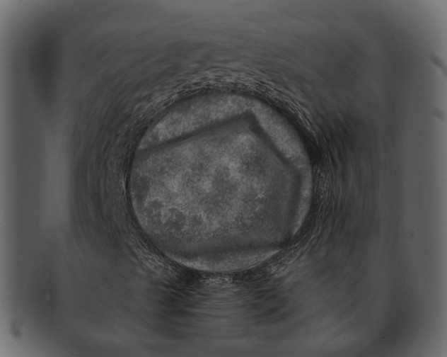 X0000093101489200710171148