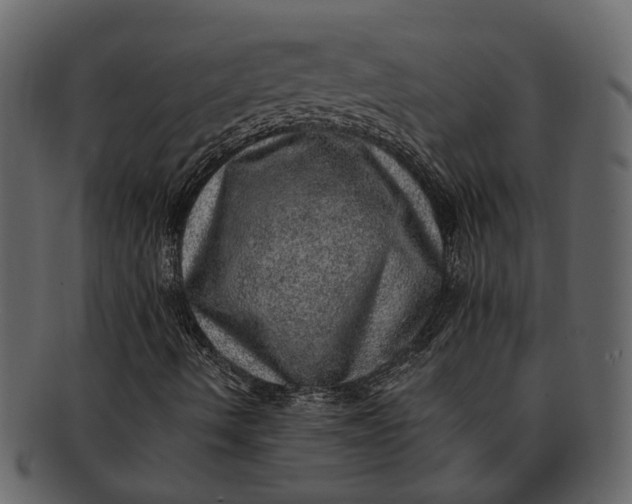 X0000093101490200710171148