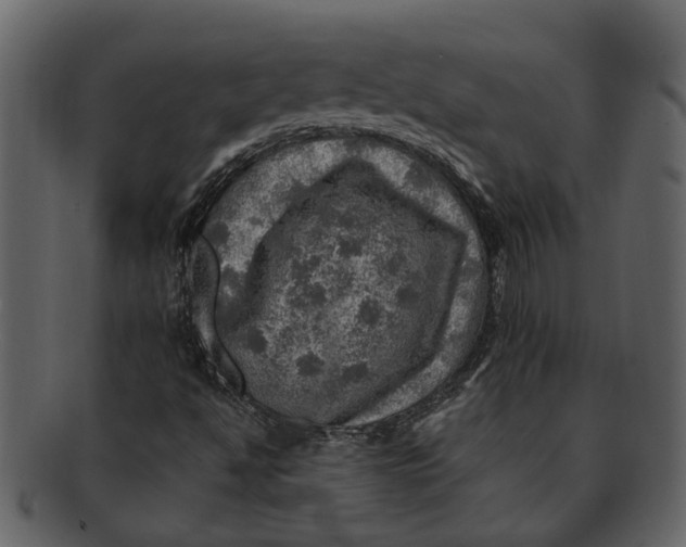 X0000093101494200710171148